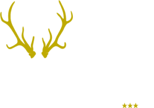 hirschen-sallneck.karriereseite.live